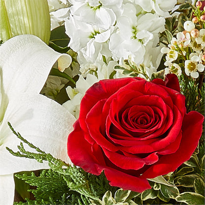 Twinkle Lights Bouquet –  Gerbes, Wichita KS