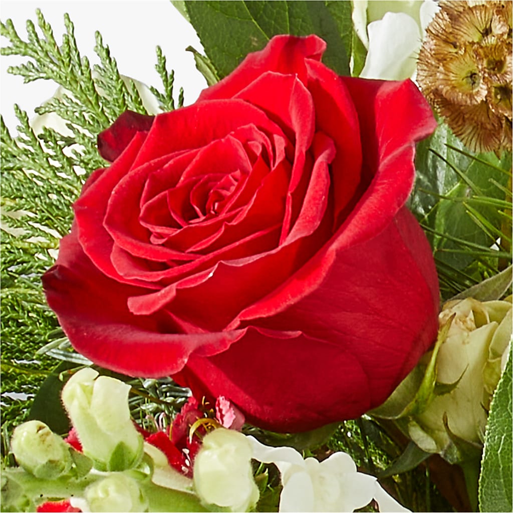 Deck the Halls Bouquet –  Gerbes, Wichita KS