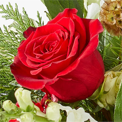 Deck the Halls Bouquet –  Gerbes, Wichita KS
