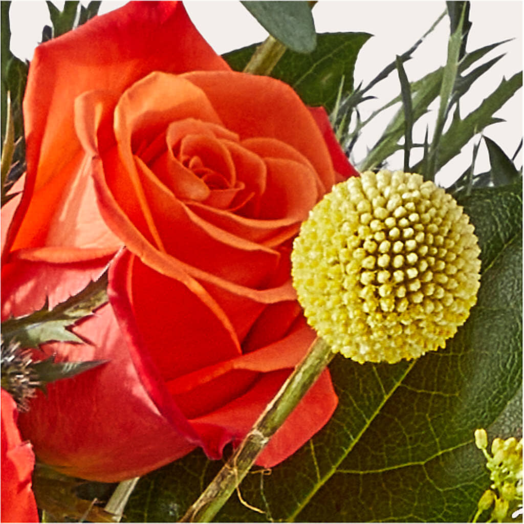 Disco Bouquet –  Gerbes, Wichita KS