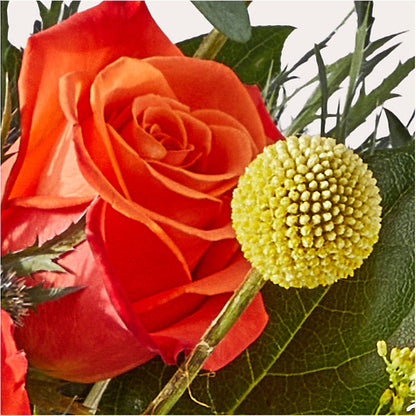 Disco Bouquet –  Gerbes, Wichita KS
