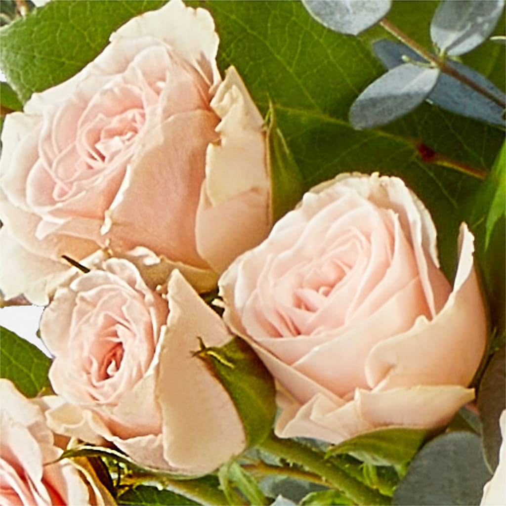 Inspired Bouquet –  Gerbes, Wichita KS