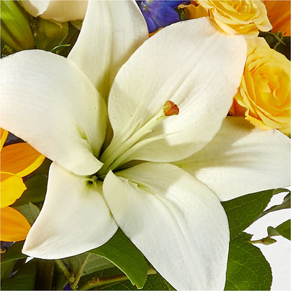 Wonderfully Sunny Bouquet –  Gerbes, Wichita KS