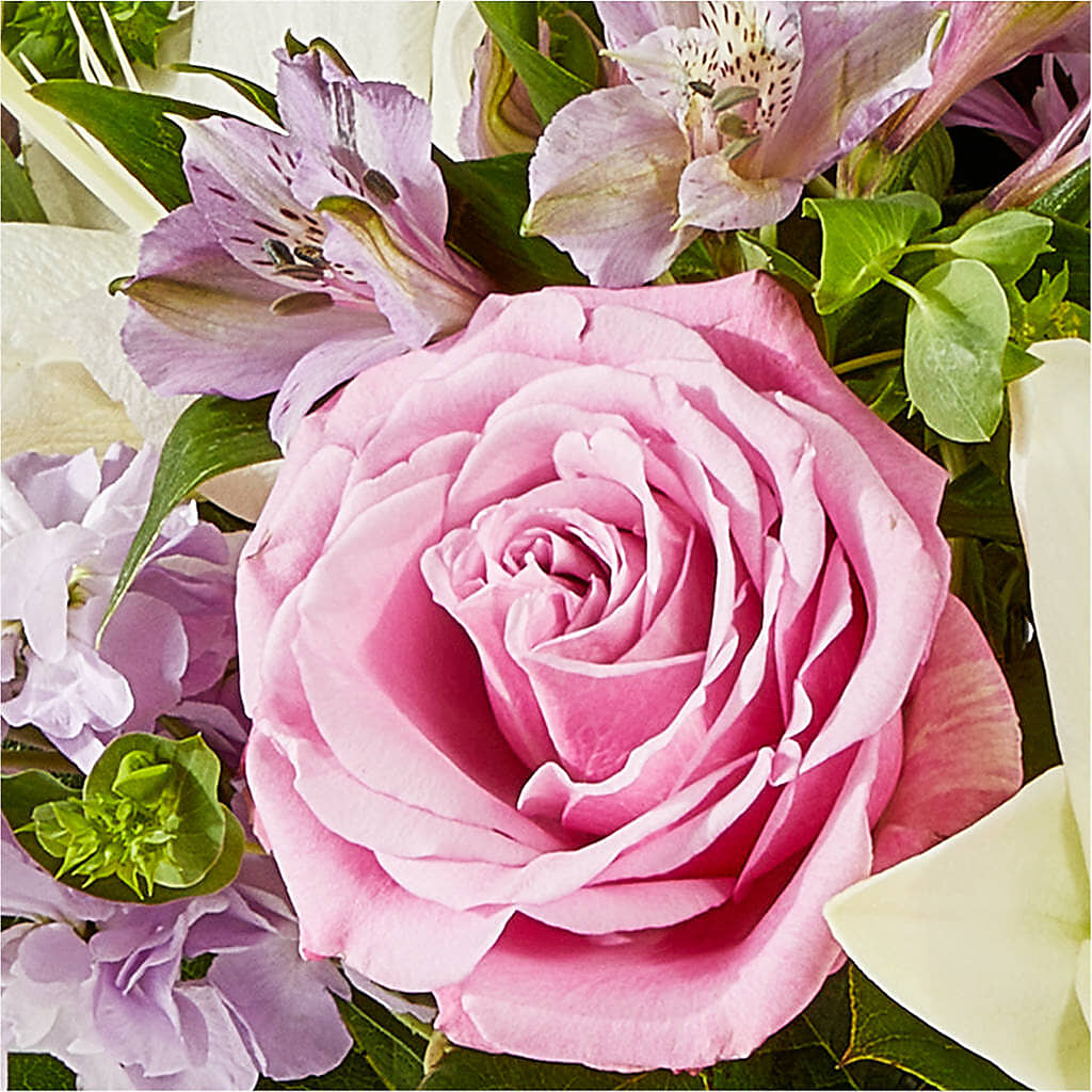 Daydreamer Bouquet –  Gerbes, Wichita KS