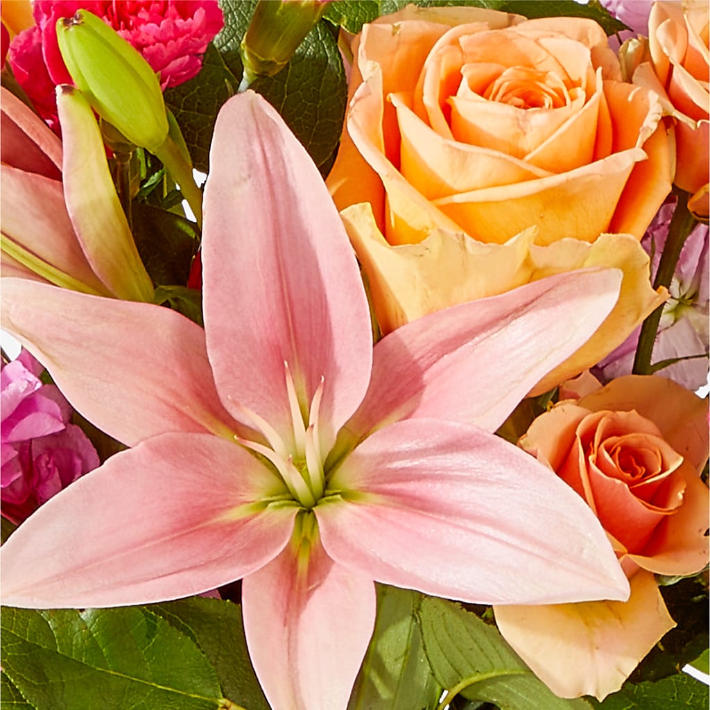 Bisous Bouquet –  Gerbes, Wichita KS